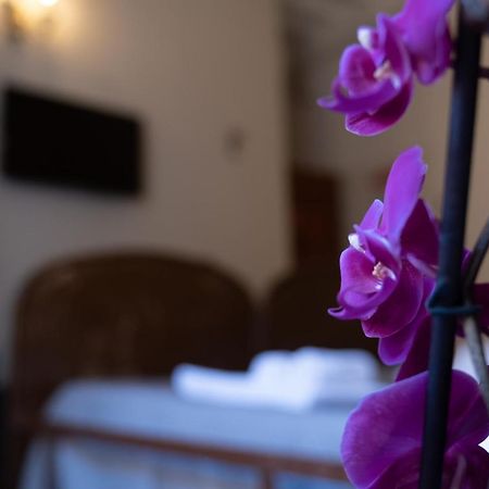 Città Di Castello Rooms Extérieur photo